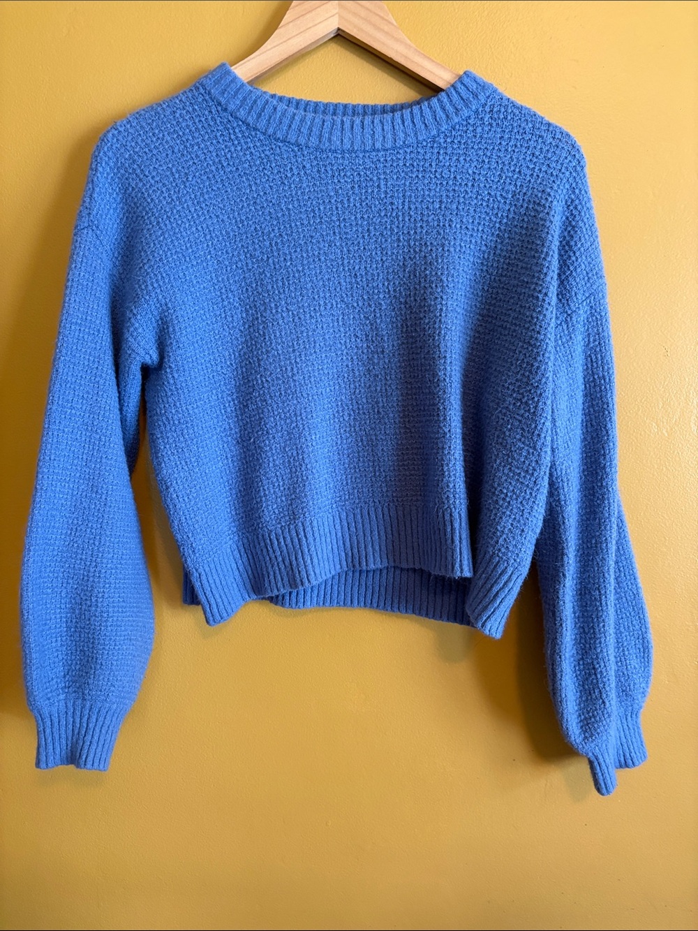 Anthropologie Cornflower Blue Crewneck Cropped Sweater